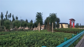 標(biāo)題：張家口經(jīng)開區(qū)腰站堡飲用水源地生態(tài)涵養(yǎng)綠化
瀏覽次數(shù)：3141
發(fā)表時間：2020-10-16