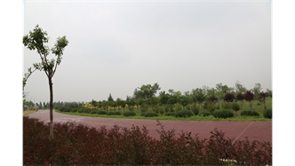 標(biāo)題：大青山南坡生態(tài)修復(fù)
瀏覽次數(shù)：2628
發(fā)表時間：2020-10-16