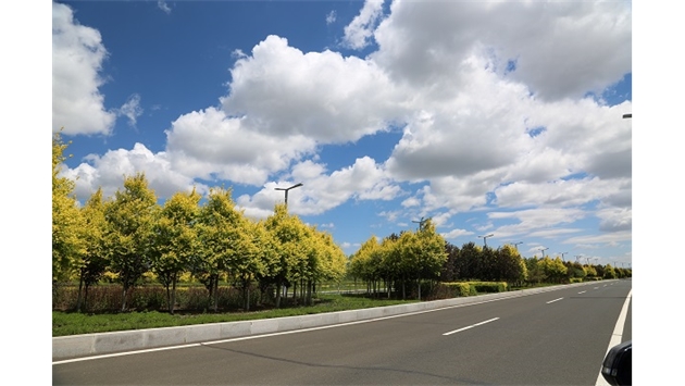 標(biāo)題：集寧察哈爾大街綠化
瀏覽次數(shù)：9535
發(fā)表時(shí)間：2020-10-17