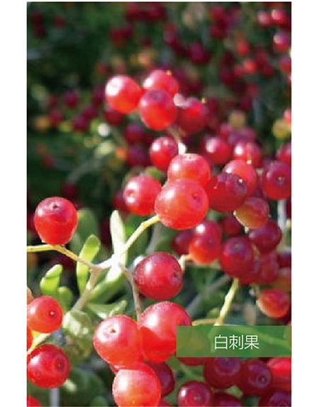 標題：名貴樹種
瀏覽次數(shù)：1830
發(fā)表時間：2020-10-17