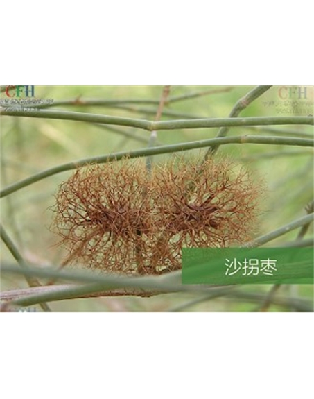 標(biāo)題：名貴樹種
瀏覽次數(shù)：1945
發(fā)表時(shí)間：2020-10-17