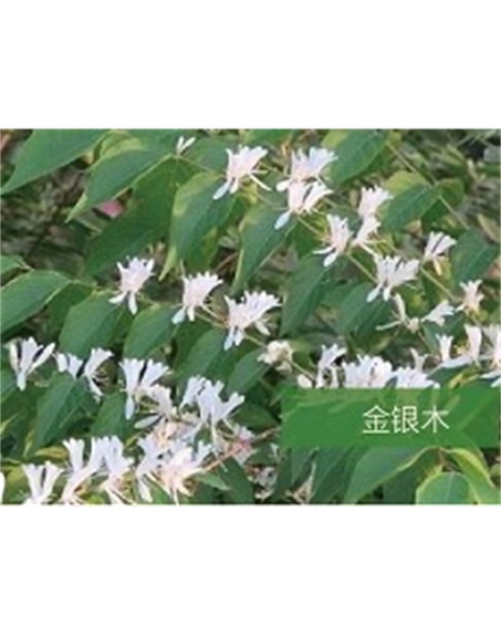 標(biāo)題：?jiǎn)坦嗄?瀏覽次數(shù)：1817
發(fā)表時(shí)間：2020-10-17