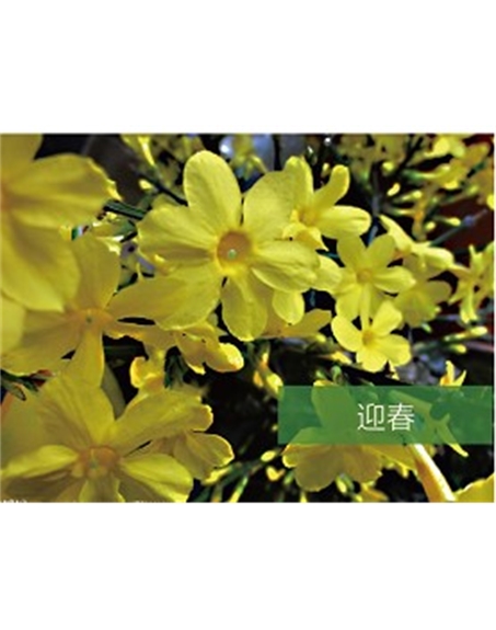 標(biāo)題：?jiǎn)坦嗄?瀏覽次數(shù)：1749
發(fā)表時(shí)間：2020-10-17