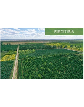 標(biāo)題：苗木基地
瀏覽次數(shù)：2387
發(fā)表時(shí)間：2020-10-17