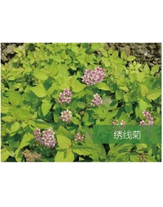 標題：喬灌木
瀏覽次數(shù)：1931
發(fā)表時間：2020-10-17