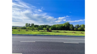 標題：伊利現(xiàn)代智慧健康谷道路綠化建設項目
瀏覽次數(shù)：2501
發(fā)表時間：2023-11-07